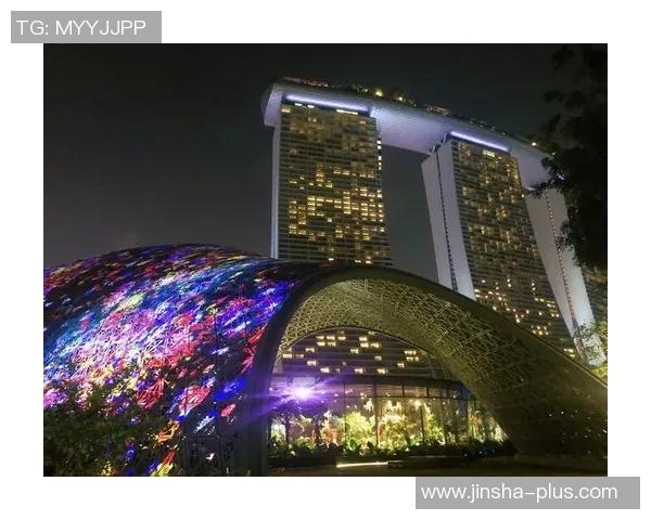 金沙网上娱乐平台-金沙网上娱乐平台,探索虚拟世界的娱乐新境界-金沙网上娱乐平台